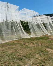 Mouat's Farm - Hotel WA 5