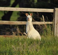 Panorama Garden Estate - Hotel WA