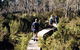 Hume And Hovell Walking Track - Henry Angel Trackhead - thumb 0