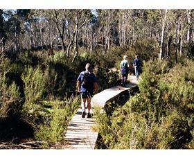 Hume And Hovell Walking Track - Henry Angel Trackhead - Hotel WA 0