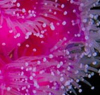 Yaringa Marine National Park - Hotel WA