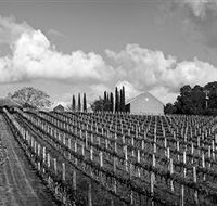 Willow Creek Vineyard - Hotel WA