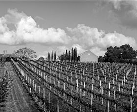 Willow Creek Vineyard - Hotel WA 0