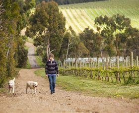 Willow Creek Vineyard - Hotel WA 1