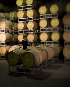 Willow Creek Vineyard - Hotel WA 2