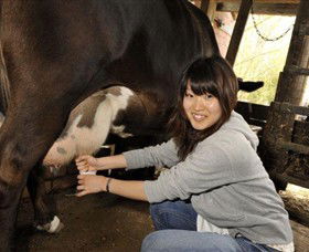 Warrook Farm - Hotel WA 2