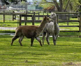 Warrook Farm - Hotel WA 6