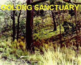 Oolong Sanctuary - Hotel WA 0