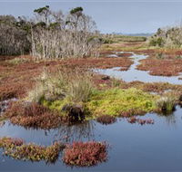 French Island National Park - Hotel WA