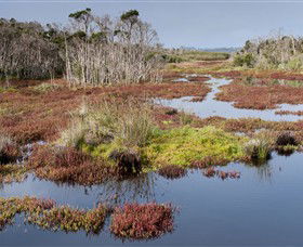 French Island National Park - Hotel WA 0