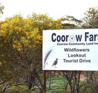 Coorow Farm Wildflower Trail - Hotel WA