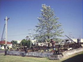 Clifton Historical Museum - Hotel WA 1