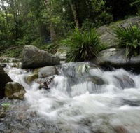 Washpool National Park - Hotel WA