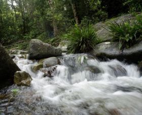 Washpool National Park - Hotel WA 0