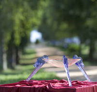 Lillico Glass Studio - Hotel WA