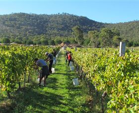 Savina Lane Premum Wines - Hotel WA 1