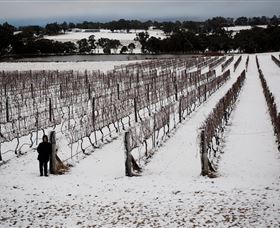 Savina Lane Premum Wines - Hotel WA 2