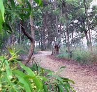 Mount Mutton Walking Trail - Hotel WA