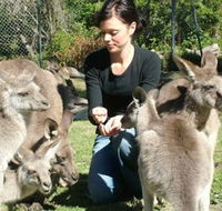 Canons Shuttles Day Tours - Hotel WA