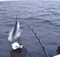 Amokura Charters - Hotel WA