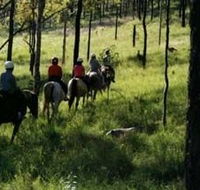 Hunter Valley Horse Riding and Adventures - Hotel WA