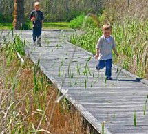 Hunter Wetlands Centre Australia - Hotel WA 1
