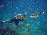 Imagine Cruises - Hotel WA 0