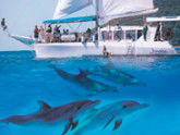 Imagine Cruises - Hotel WA 2