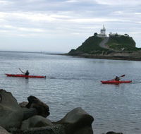 Newcastle Kayak Tours - Hotel WA