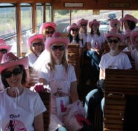 Newcastles Famous Tram - Hotel WA