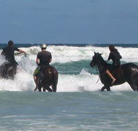 Pegasus Park Equestrian Centre - Hotel WA