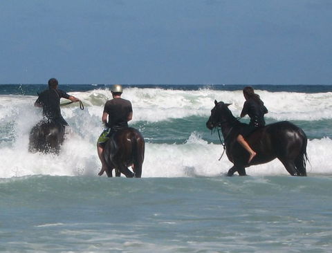 Pegasus Park Equestrian Centre - Hotel WA 0