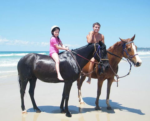 Pegasus Park Equestrian Centre - Hotel WA 1
