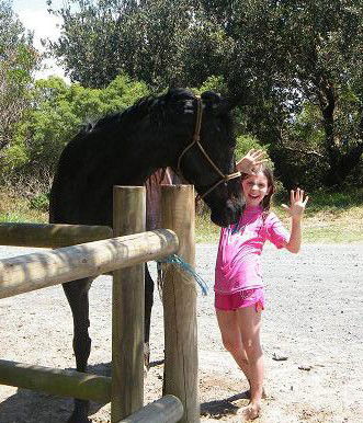 Pegasus Park Equestrian Centre - Hotel WA 3
