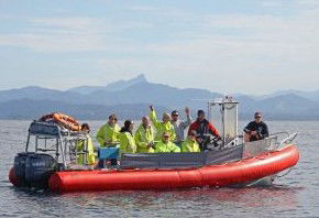 Byron Bay Whale Watching - Hotel WA 2