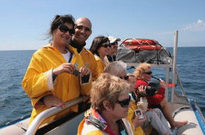 Byron Bay Dolphin Wildlife Tours - Hotel WA 2