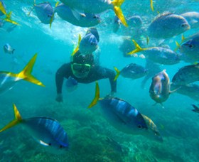 G Adventures - Hotel WA 0