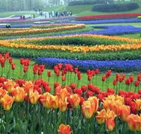 Botanica World Discoveries - Hotel WA