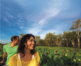 AAT Kings Guided Tours (Top End) - Hotel WA 3