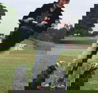 Segway Tours Australia