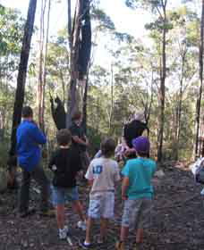 Boronia Tours - Hotel WA 1