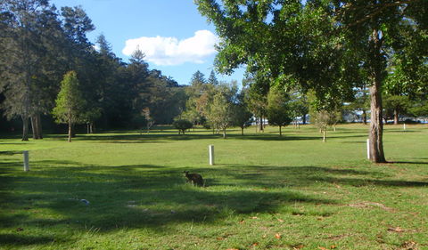 The Basin Picnic Area - Hotel WA 1