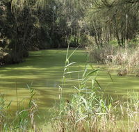 Second Ponds Creek walk - Hotel WA