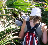 Palm Jungle loop track - Hotel WA