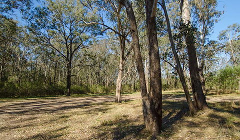 Scheyville Horse Riding Trails - Hotel WA 1
