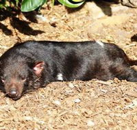 Symbio Wildlife Park