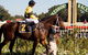 Hawkesbury Race Club - thumb 2