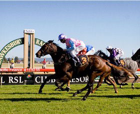 Hawkesbury Race Club - Hotel WA 1