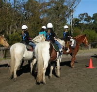 Darkes Forest Riding Ranch - Hotel WA