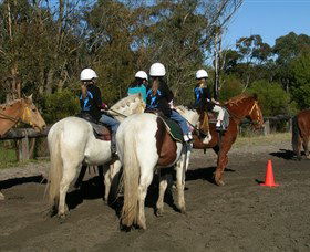 Darkes Forest Riding Ranch - Hotel WA 0